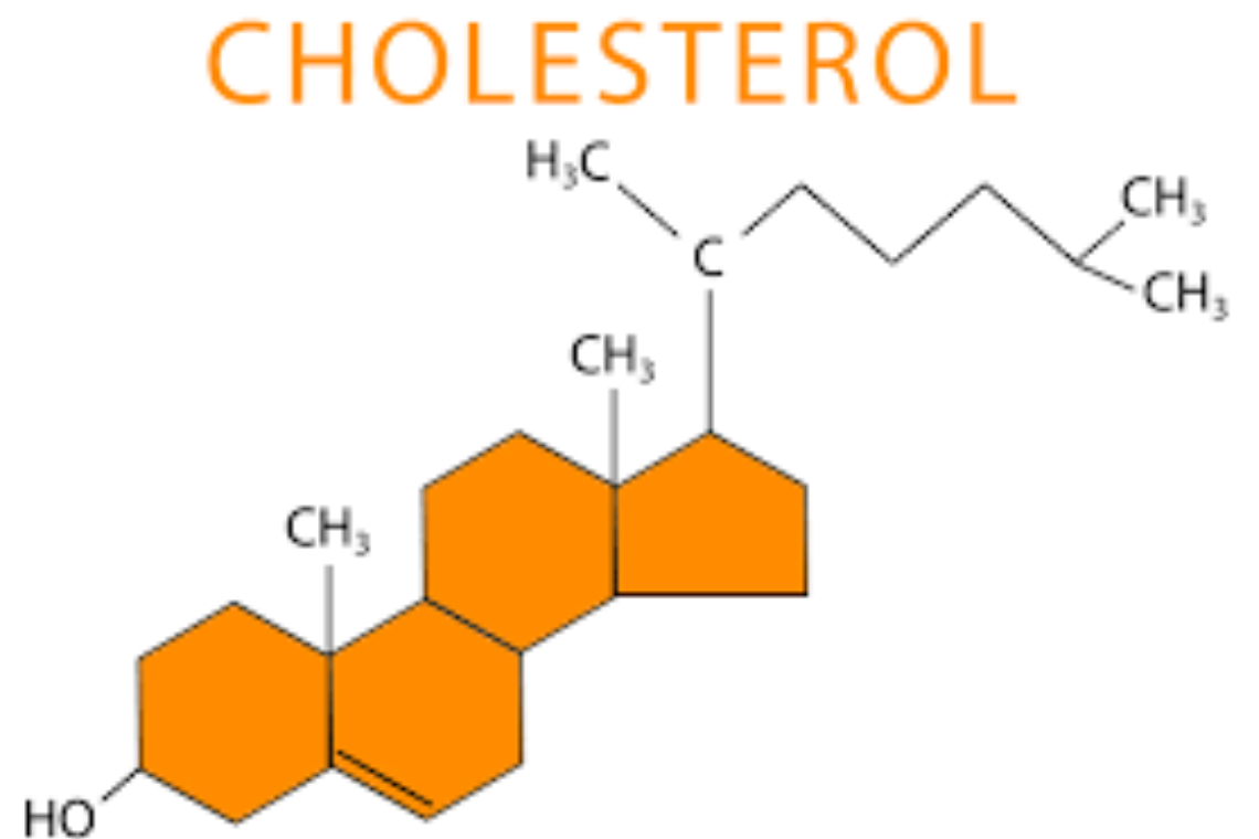 cholesterol công thức