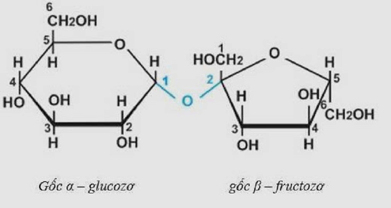 Công thức cấu tạo của fructozơ