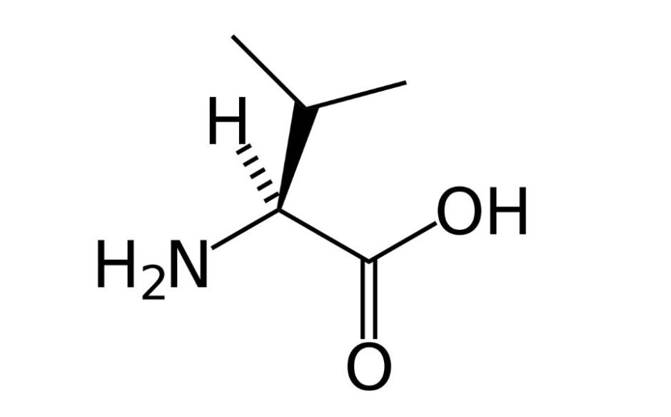 valin trong thực phẩm